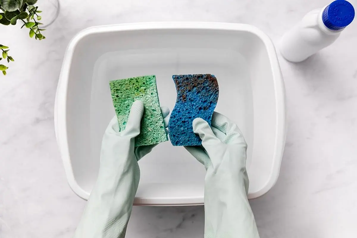Clean-a-Sponge-with-Bleach-