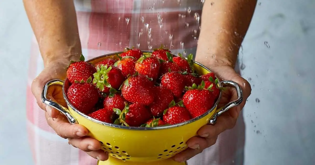 strawberryboard_10-22-19_emptyname_100.1200x630p50x50