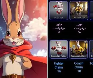 کارت های امروز راکی رابیت (ROCKY RABBIT) شنبه ۳ شهریور به همراه پاسخ تصویری