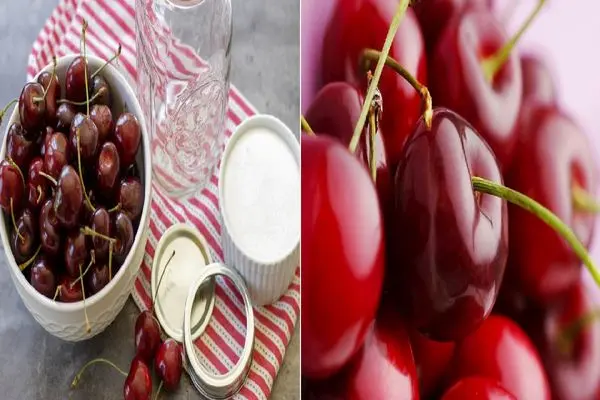روش های حرفه‌ ای نگهداری گیلاس و آلبالو/ با معجزه تازگی دیگر نگران خراب شدن نباشید