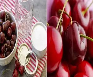 روش های حرفه‌ ای نگهداری گیلاس و آلبالو/ با معجزه تازگی دیگر نگران خراب شدن نباشید