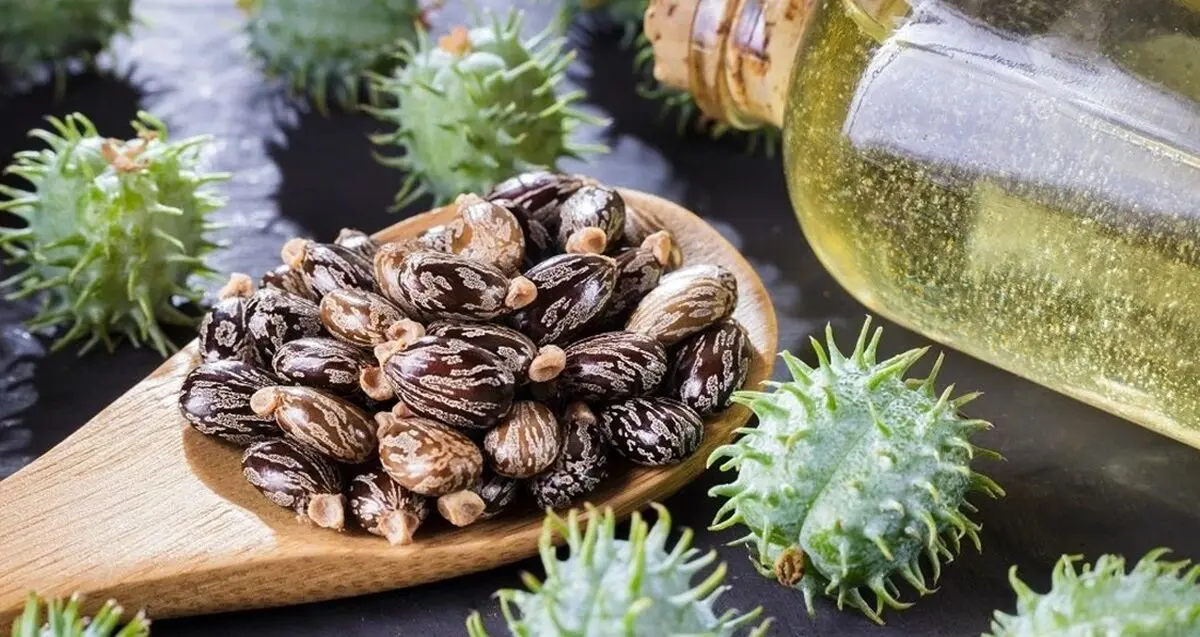 از بین بردن جوش های مجلسی