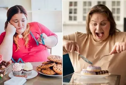 شکلات، برنج یا نوشابه؛ کدام یک چاق کننده تر است؟