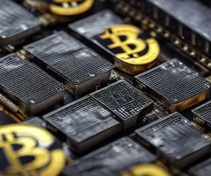 روند وحشیانه گاوهای بیت کوین بیانگر چیست؟