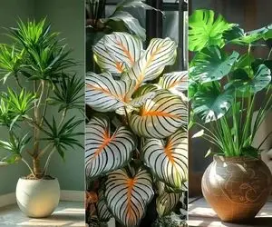 گیاهان آپارتمانی همیشه سبز و با دوام مختص نگهداری در تمام فصول سال / آبم زیاد نمیخوان