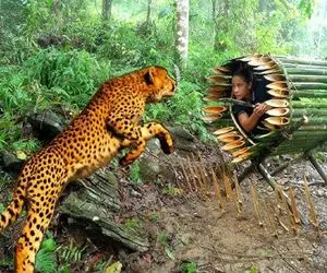 معماری خلاقانه؛ وسط جنگل با شاخه درخت خونه ساخته تانکری نیزه دار پلنگ نخورتش