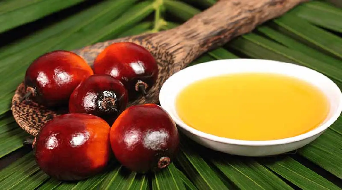 خواصی-که-روغن-پالم-به-بدن-میرساند