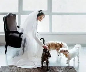 استوری همسر جدید پیمان قاسم خانی و قربون صدقه رفتنش!