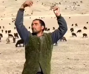 آواز برزنی؛ چوپان سرخوش موقع چرا چه رقص پر اطواری میکنه فقط که گوسفندا خشکشون زده