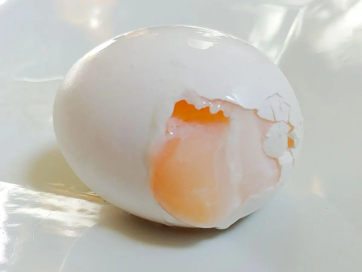 مرحله آخر