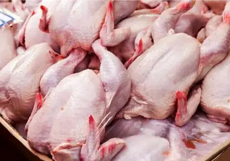 قیمت مرغ امروز شنبه ۱۹ اردیبهشت ۱۴۰۵ + جدول