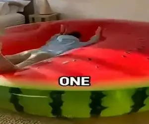 معماری خلاقانه؛ تخت ژله ای ساختن میپرن روش عین ترامپولین پرت میشن بالا و پایین