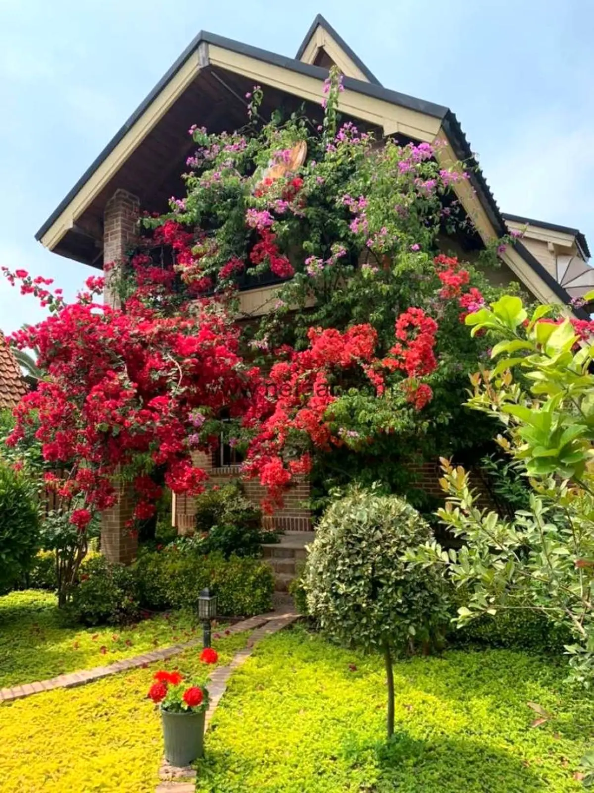 446_img_20230419_125258_698_thb