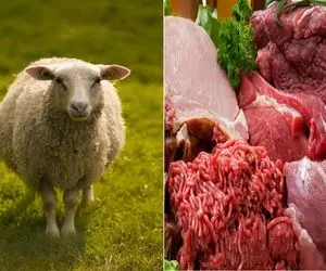 صفرتا صد تمیز کردن گوسفند ذبح شده/ با این روش گوشت تمیز و باکیفیت تر از قصابی میشه