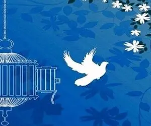 
آزادی ۲۵ مددجوی زندان رجایی شهر کرج
