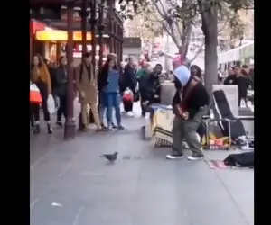 آواز خیابانی؛ کبوتری رو ببینید که سیاه پوست رو همراهی میکنه و میرقصه خدارو قربون!