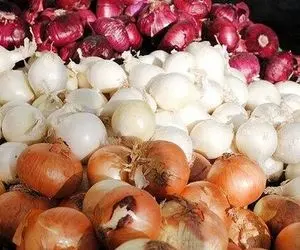 شگفت انگیز ترین نحوه پوست کندن پیاز تو یه کارخونه امروزی / بسته بندیش از کدبانو بهتره