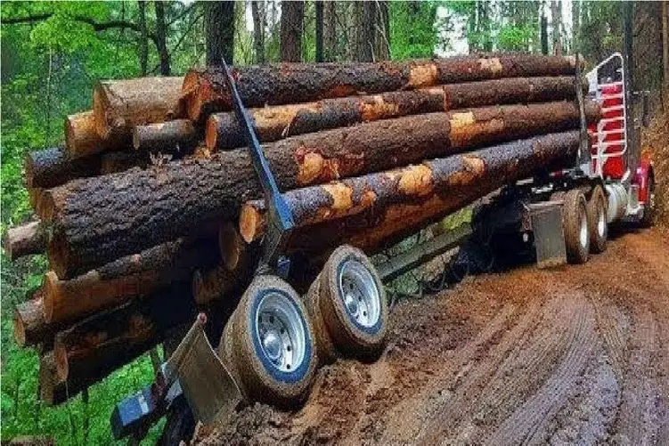 جا به جایی جانکاه؛ راننده خودش و  بارش به چخ داد