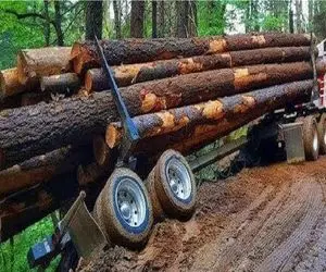 جا به جایی جانکاه؛ راننده خودش و  بارش به چخ داد