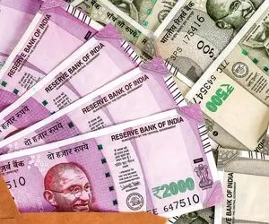 قیمت دلار صرافی ملی ، یورو و ارز در بازار امروز دوشنبه 8 دی 99