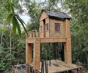معماری خلاقانه؛ آقاهه تو جنگل با چوب بامبو واسه خودش خونه اعیونی ساخته پارکینگم داره