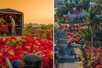 نگاه سوپر ویژه خالق به این منطقه تو بهار؛ روستای گل کاغذی انگار یه نقاشی خاص غول پیکره