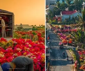 نگاه سوپر ویژه خالق به این منطقه تو بهار؛ روستای گل کاغذی انگار یه نقاشی خاص غول پیکره