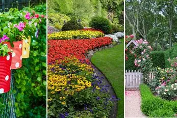 بهترین گیاهان مناسب برای فضای حیاط و باغچه؛ نحوه کاشت و نگهداری در تمام ایام سال