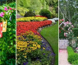 بهترین گیاهان مناسب برای فضای حیاط و باغچه؛ نحوه کاشت و نگهداری در تمام ایام سال