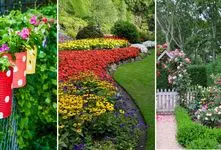 بهترین گیاهان مناسب برای فضای حیاط و باغچه؛ نحوه کاشت و نگهداری در تمام ایام سال