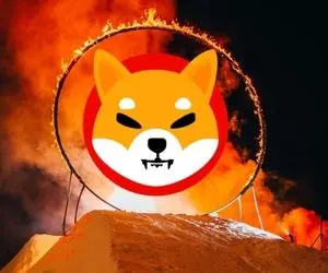 انفجاری عظیم از شیبااینو!