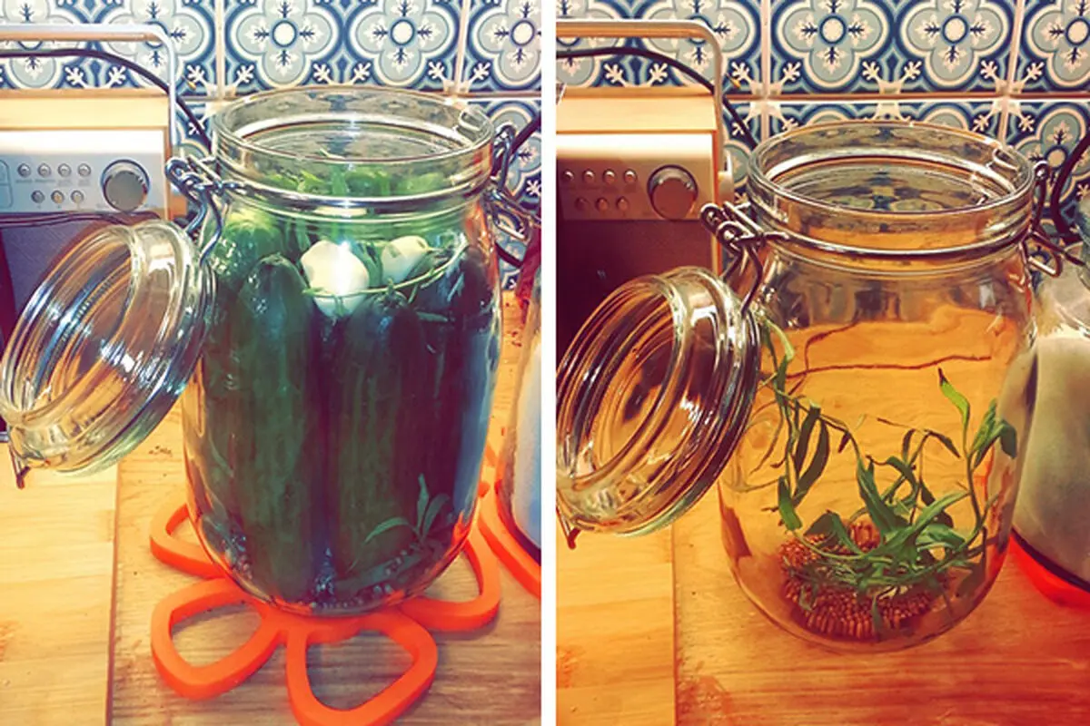 cucumber-pickling-in-Persian-style
