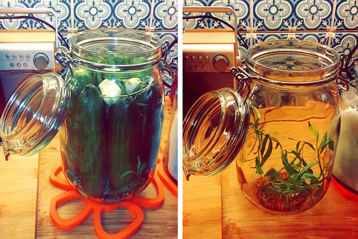 cucumber-pickling-in-Persian-style
