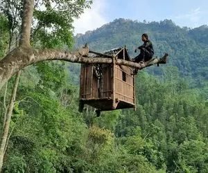 معماری خلاقانه؛ وسط جنگل دسته بیل رو کنار هم چید بست تا از حمله عقاب در امان باشه