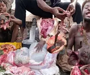 جنگجویان طبیعت؛ بربرهای برهنه خوک حرومی سیاه رو سلاخی کردن جیگرشو خام خوردن