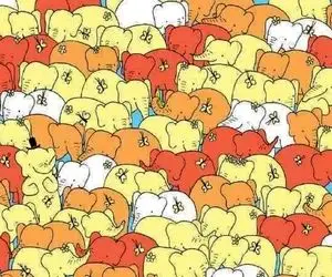 بازی فکری؛ 99٪ شکست میخورن میتونی قلب رو  بین فیل های رنگارنگ تو ۵ ثانیه پیدا کنی؟