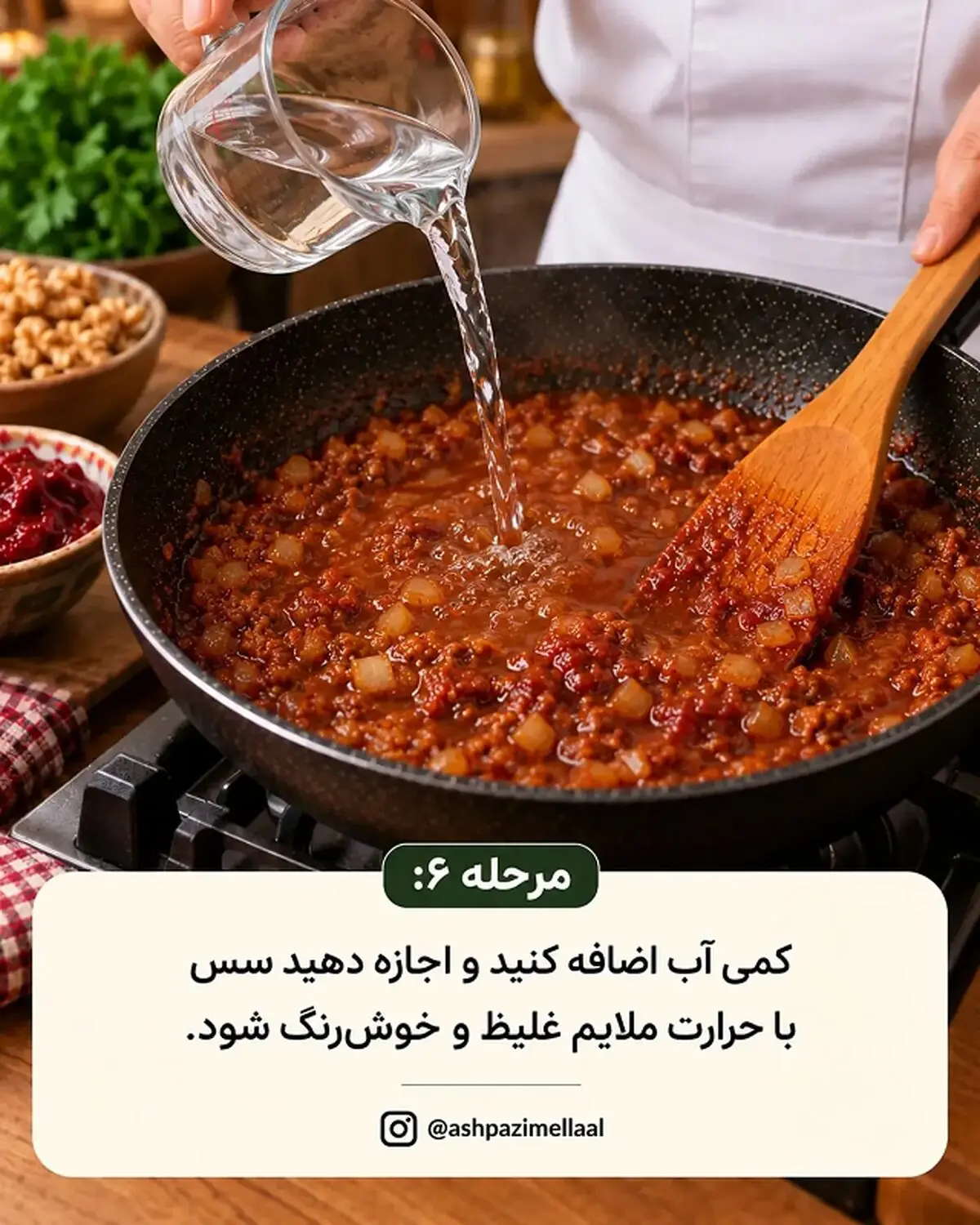 شامی ترش 6