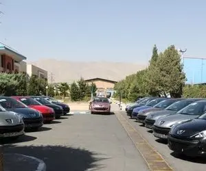 خودروهای ایرانی رنگین تر می شوند!