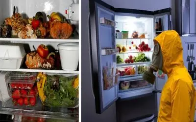 جلوگیری از بوگرفتن موادغذایی حساس درون یخچال وقتی برق طولانی مدت میره/ پولتو نجات بده