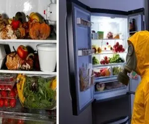 جلوگیری از بوگرفتن موادغذایی حساس درون یخچال وقتی برق طولانی مدت میره/ پولتو نجات بده