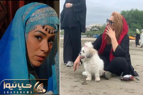 nasrin moghanloo shayanews