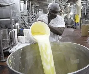 کارخانه سوپ ذرت؛ توی ژاپن با ماشینای پیشرفته روزی 1000 کیلو سوپ ذرت میپزن فرد اعلاء