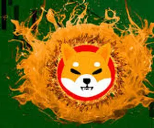 پیش بینی سال‌های در انتظار شیبااینو!!