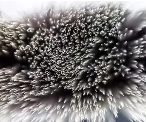 هوش تصویری؛ اگه خیلی تیزبینی و مو رو از ماست میکشی بیرون تُندی بگو این تصویر چی هست!