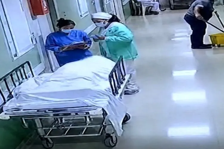 معماری طبیعت؛ جنازه رو تخت بیمارستان دکترها رو تا مرز سکته برد خیلی برگ ریزونه