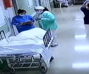 معماری طبیعت؛ جنازه رو تخت بیمارستان دکترها رو تا مرز سکته برد خیلی برگ ریزونه