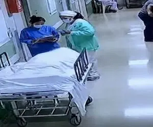 معماری طبیعت؛ جنازه رو تخت بیمارستان دکترها رو تا مرز سکته برد خیلی برگ ریزونه
