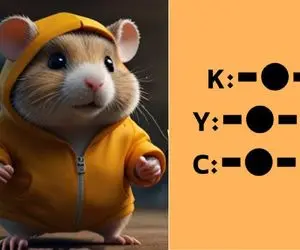 کد مورس همستر کامبت امروز یک شنبه 18 شهریور + آموزش ویدئویی