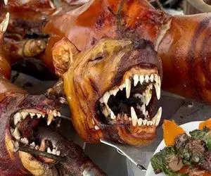 کباب سگ؛ میل داغ از دهن سگ نازنازی رد و کبابش کردن کله پاچشو با لیمو سرو کردن