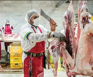 (جدول) قیمت دام زنده امروز چهارشنبه 28 شهریور